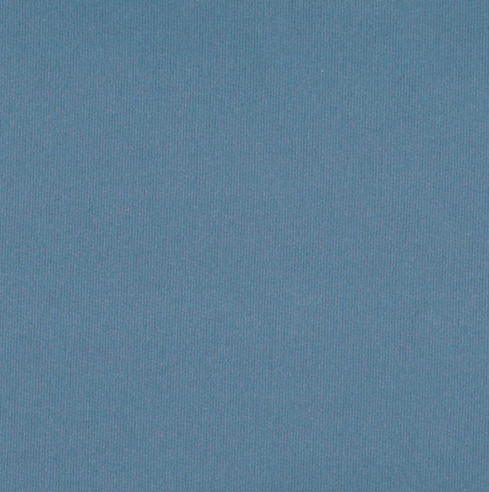 French Terry  -  Slate Blue