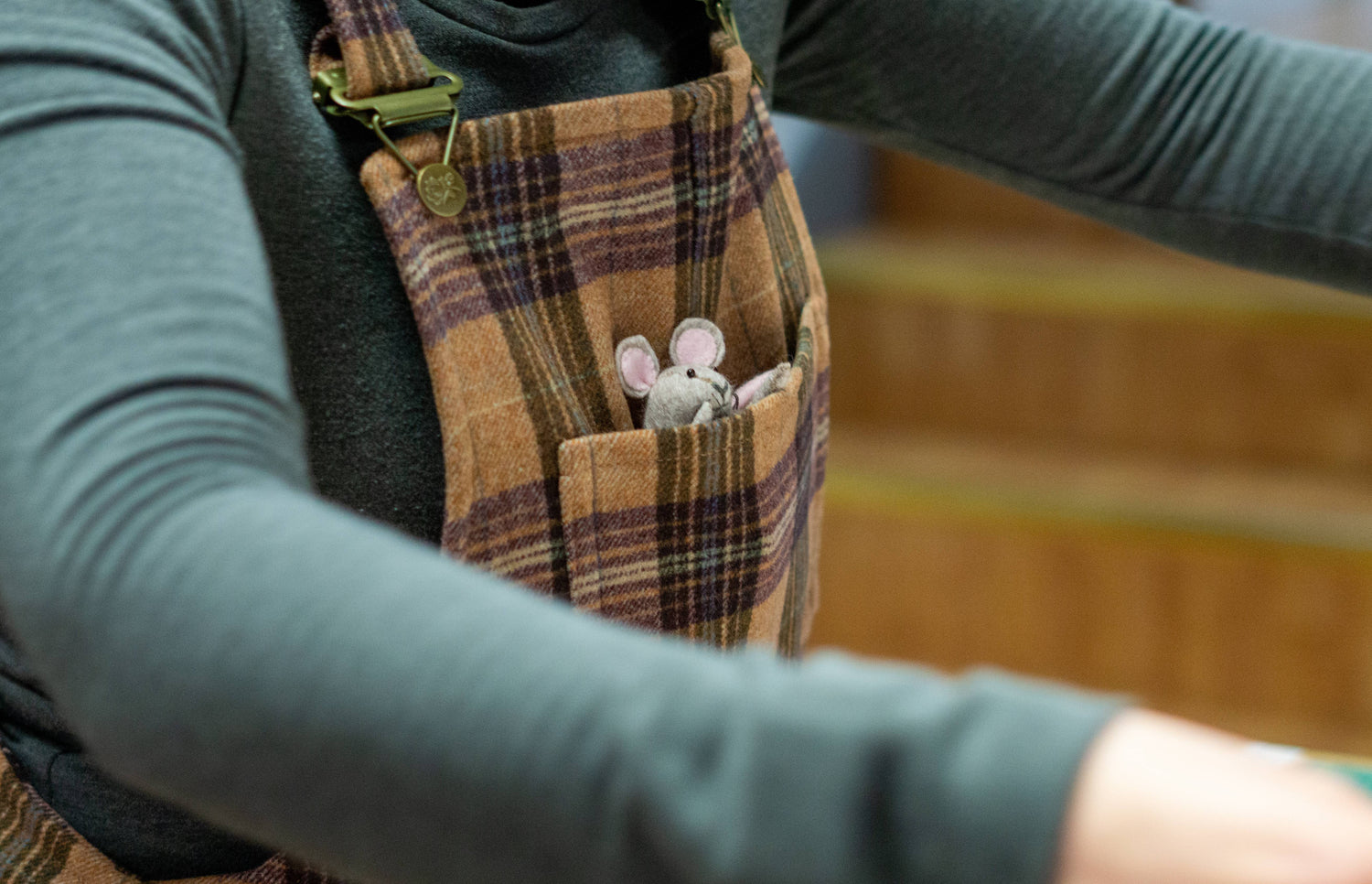 A picture of Julius the mouse in a pocket.