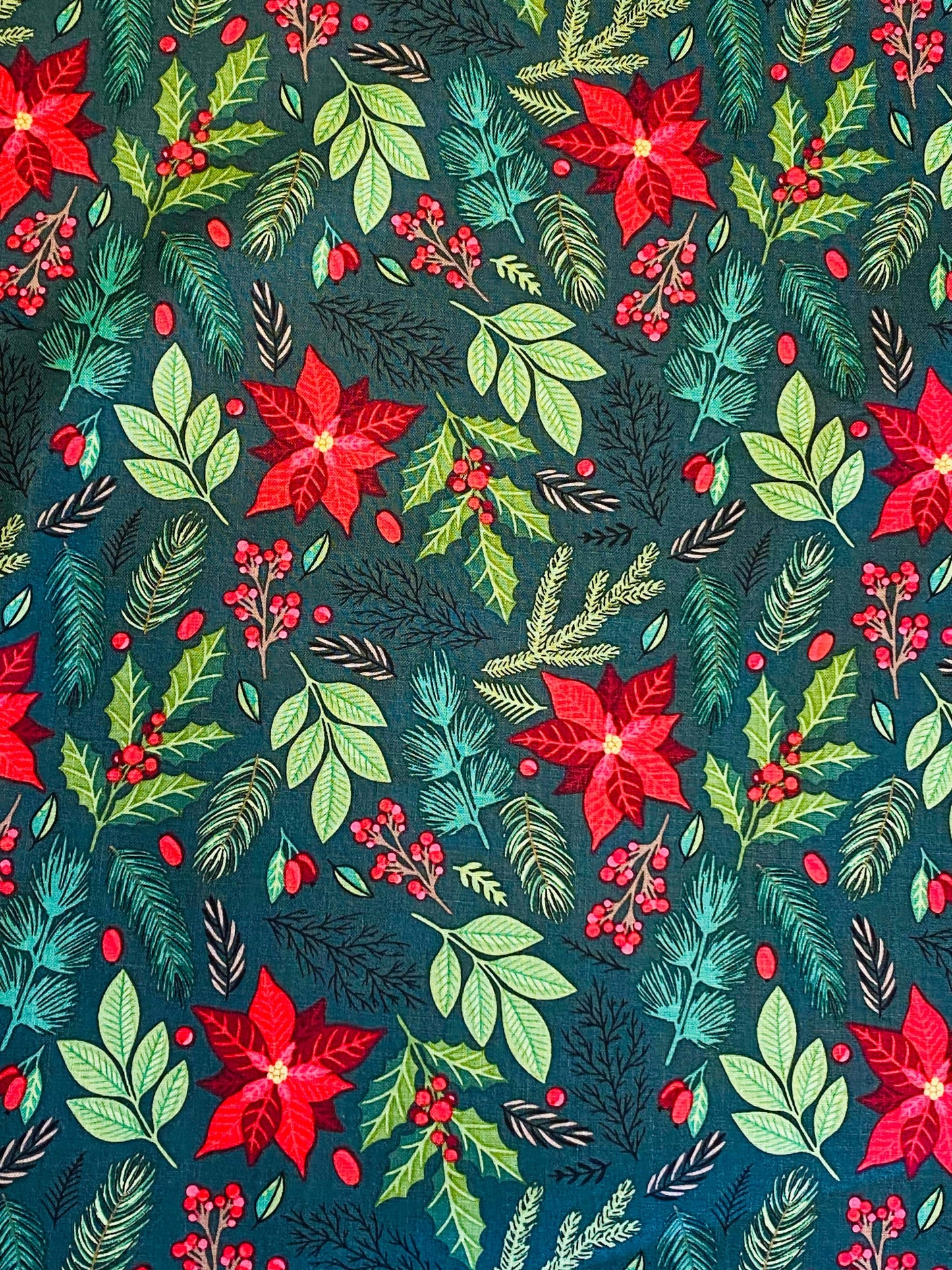 Poinsettia -