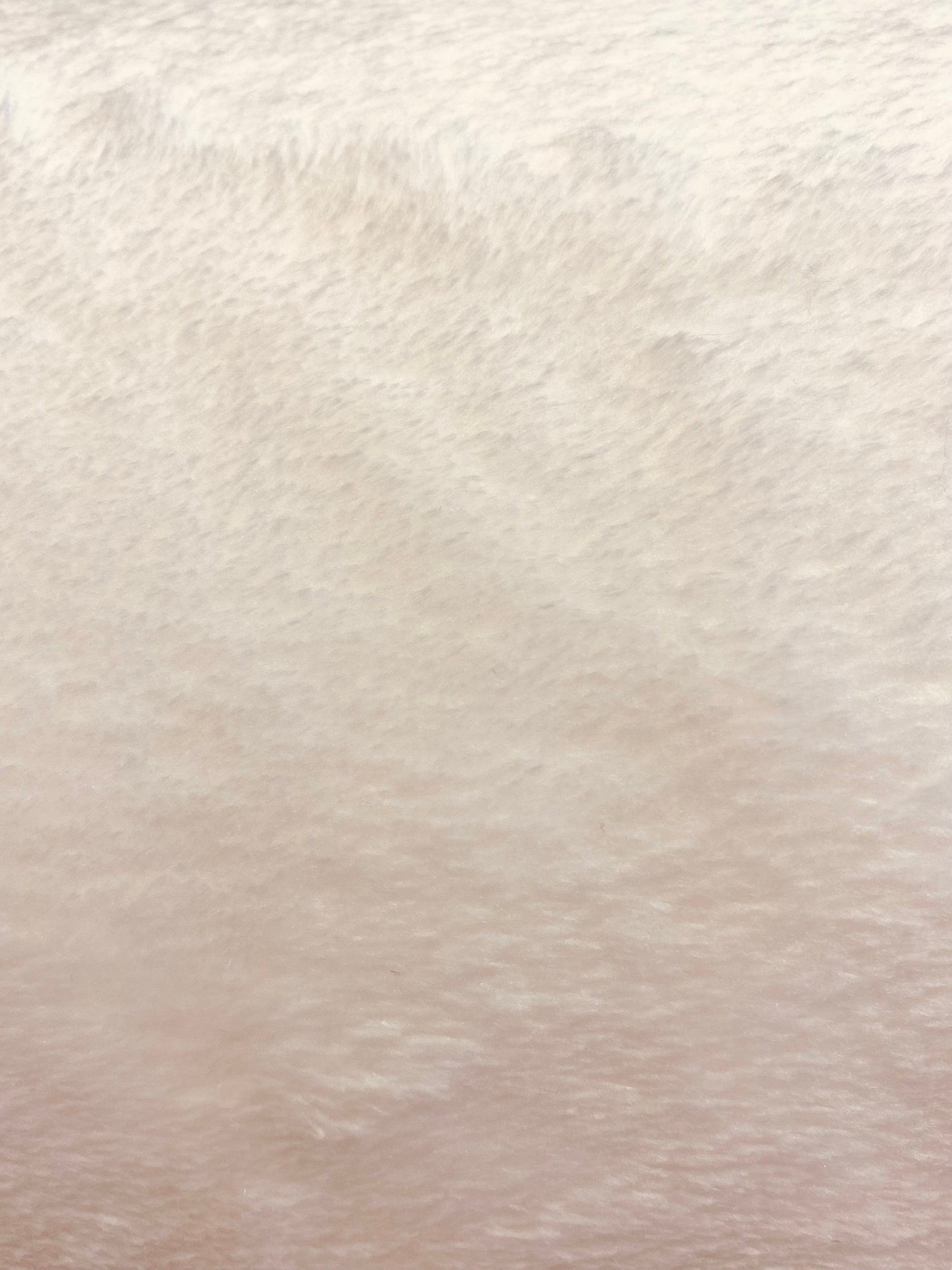 Super soft Fleece  -  Ivory