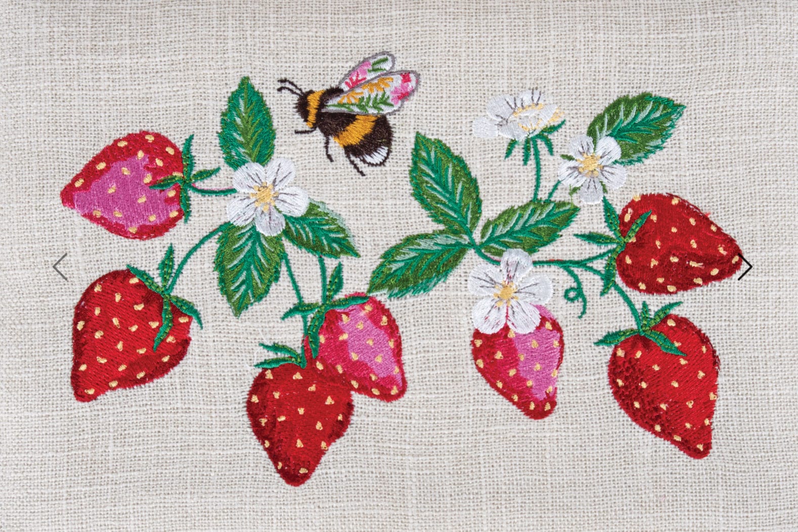 Strawberry Greenhouse  -