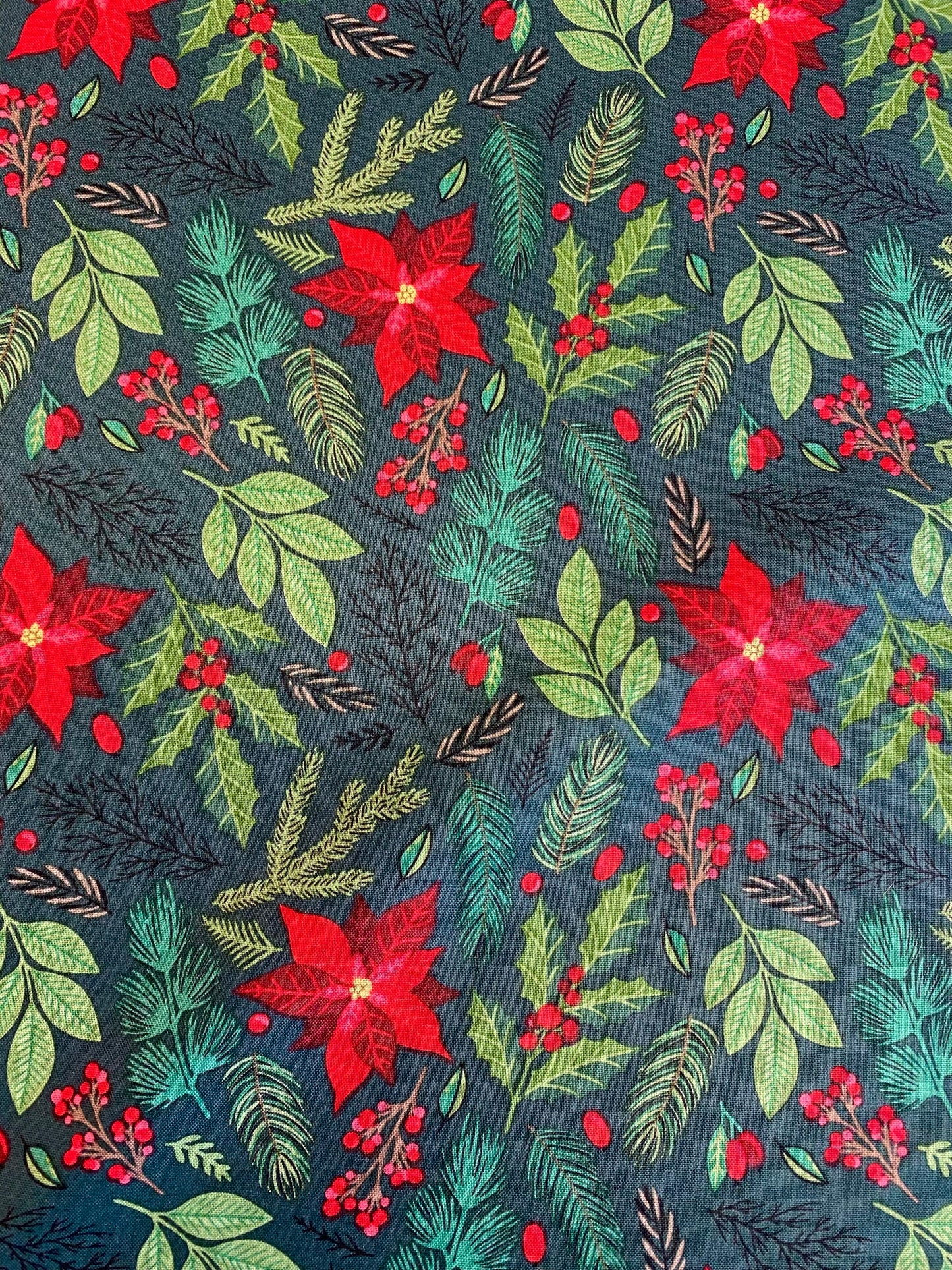 Poinsettia -