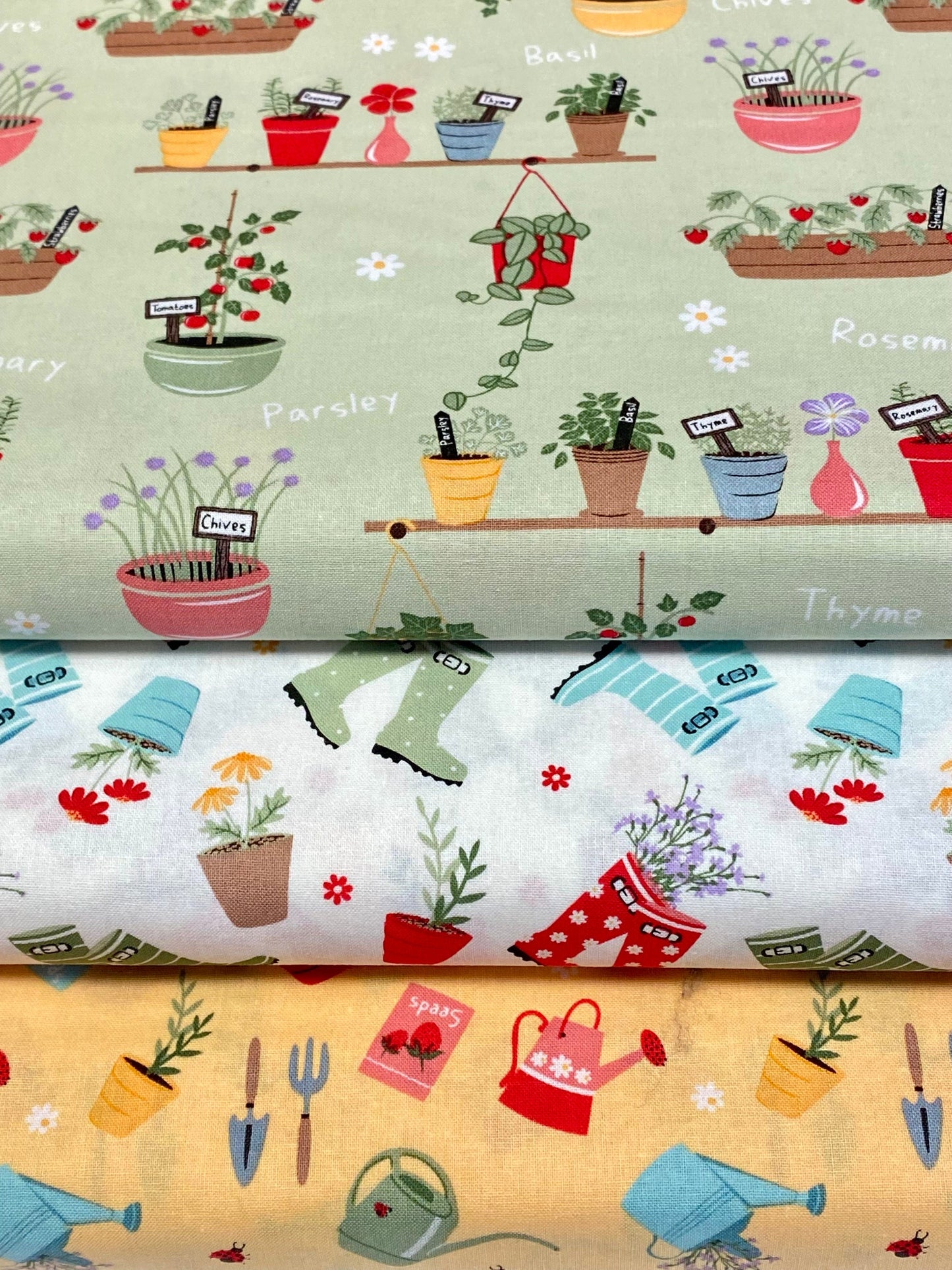 In The Garden Plant Pots -
