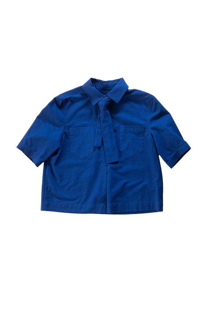 Scout -