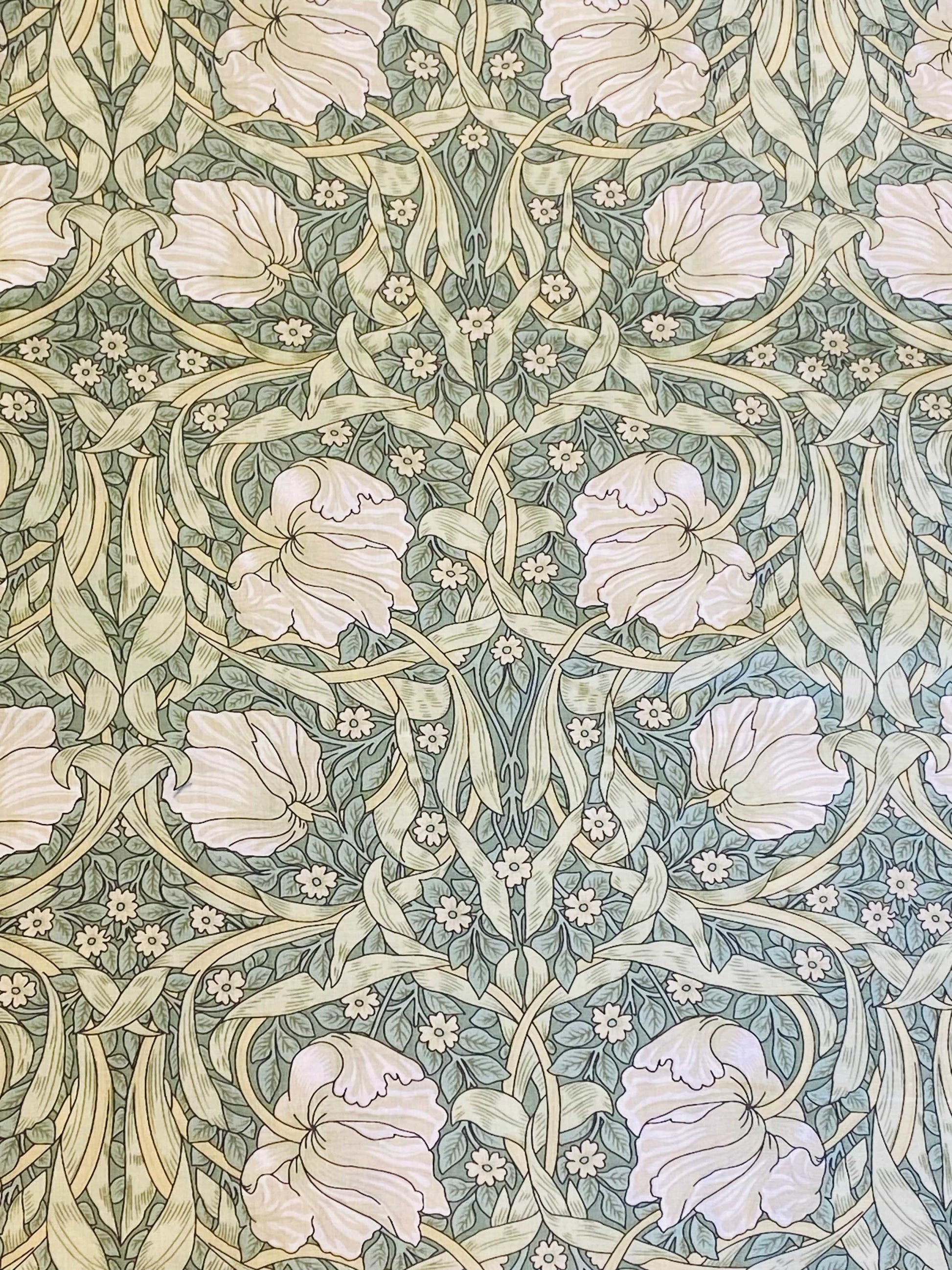 Pimpernel  -  Eau de nil