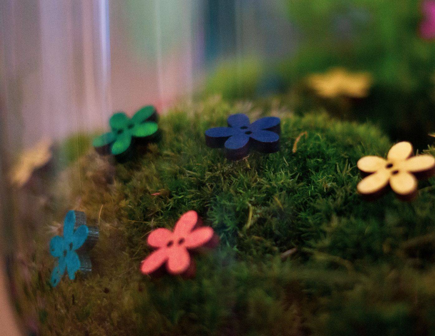 Picture of floral buttons on moss