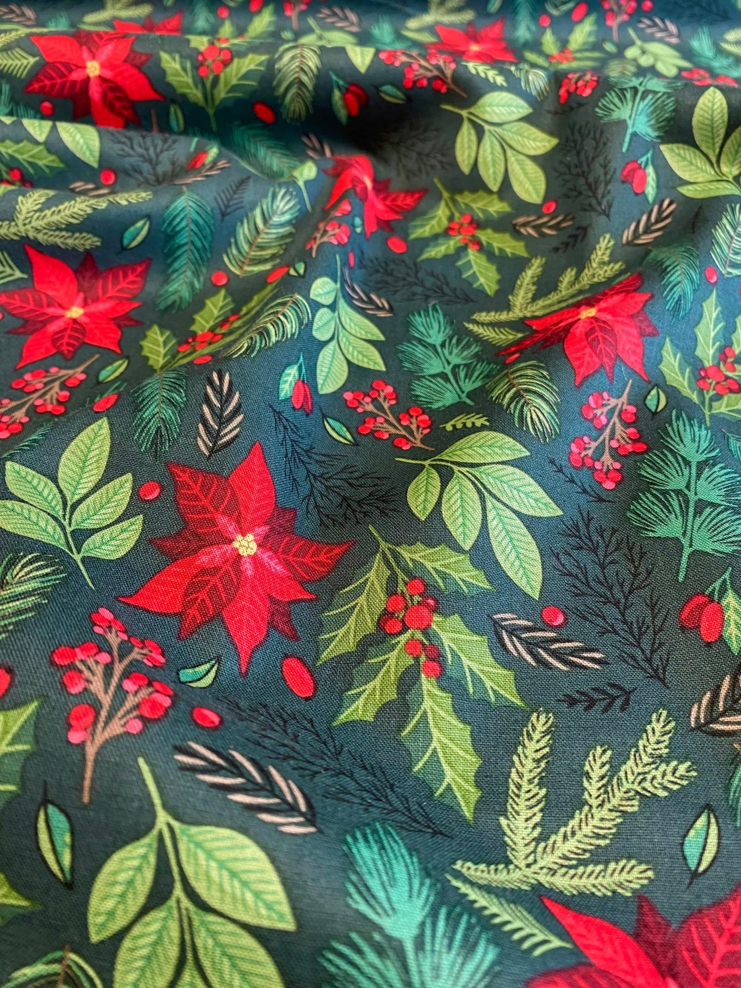 Poinsettia -