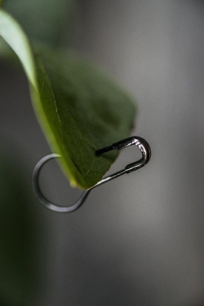 Bulb Pins -