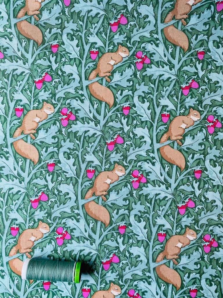 Squirreldream  -  Fabric