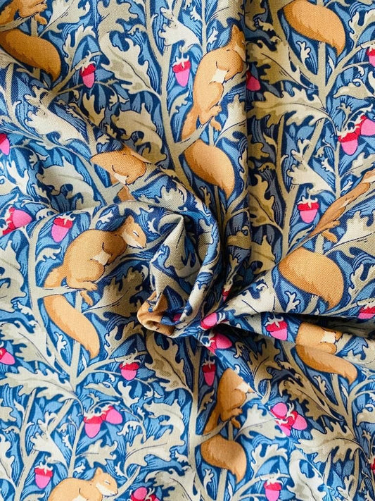 Squirreldream  -  Blue Fabric