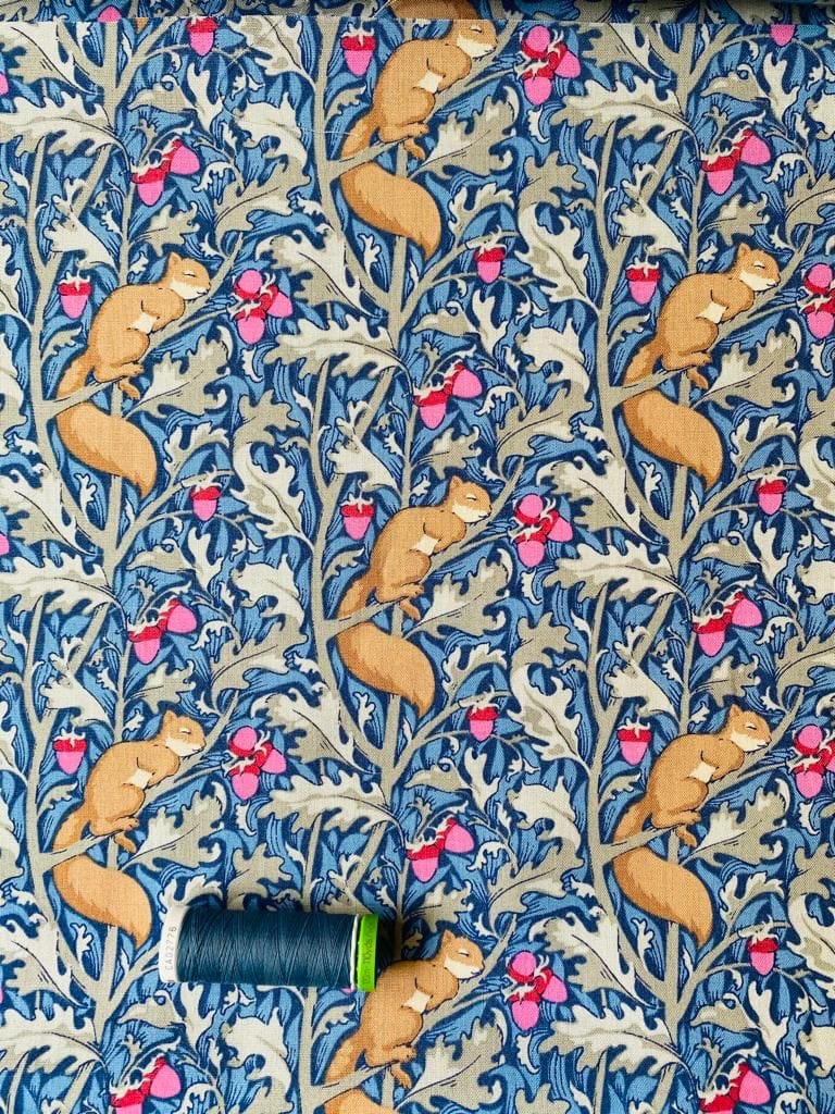 Squirreldream  -  Fabric