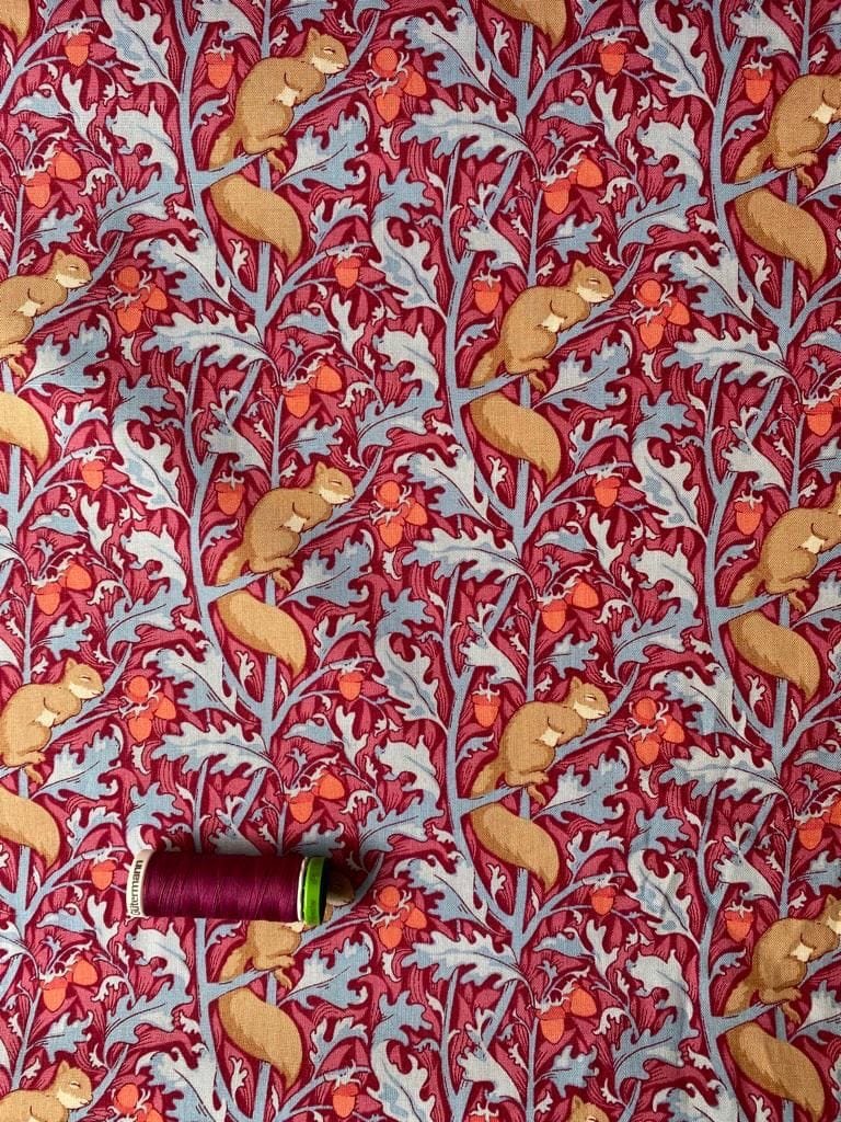 Squirreldream  -  Fabric