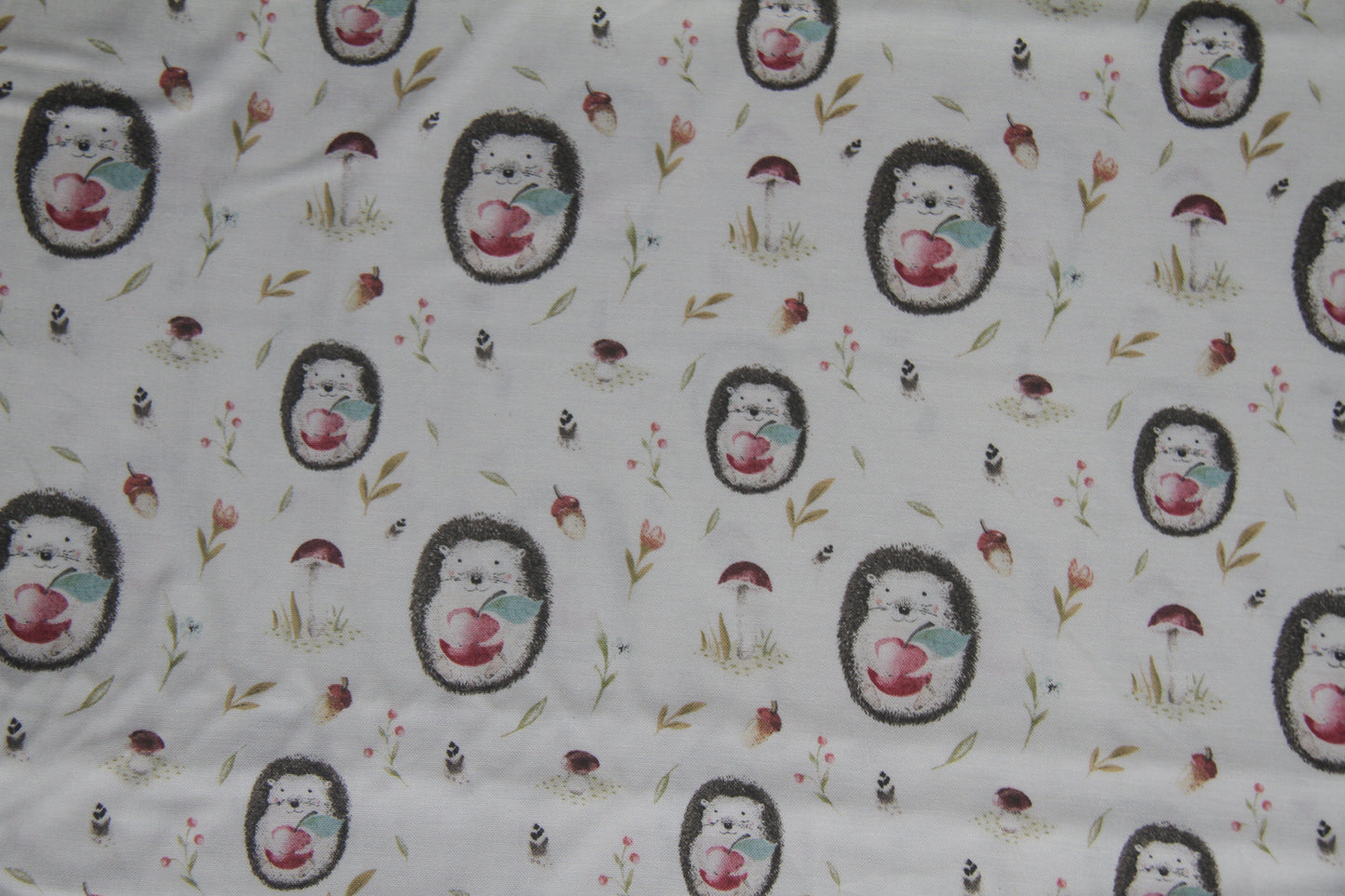 Humble Hedgehogs  -  White