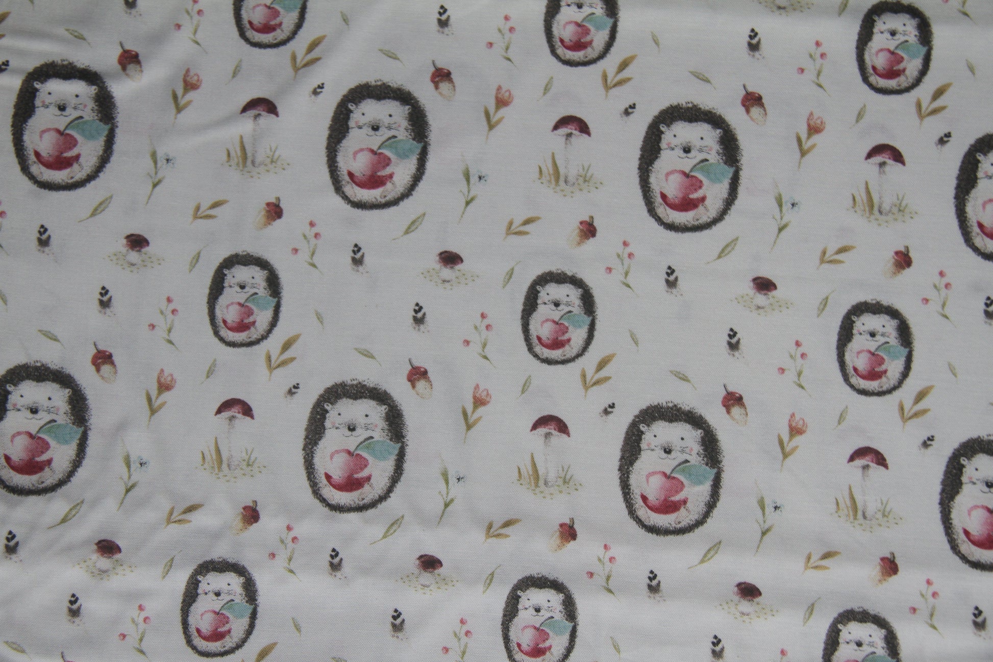 Humble Hedgehogs  -  White