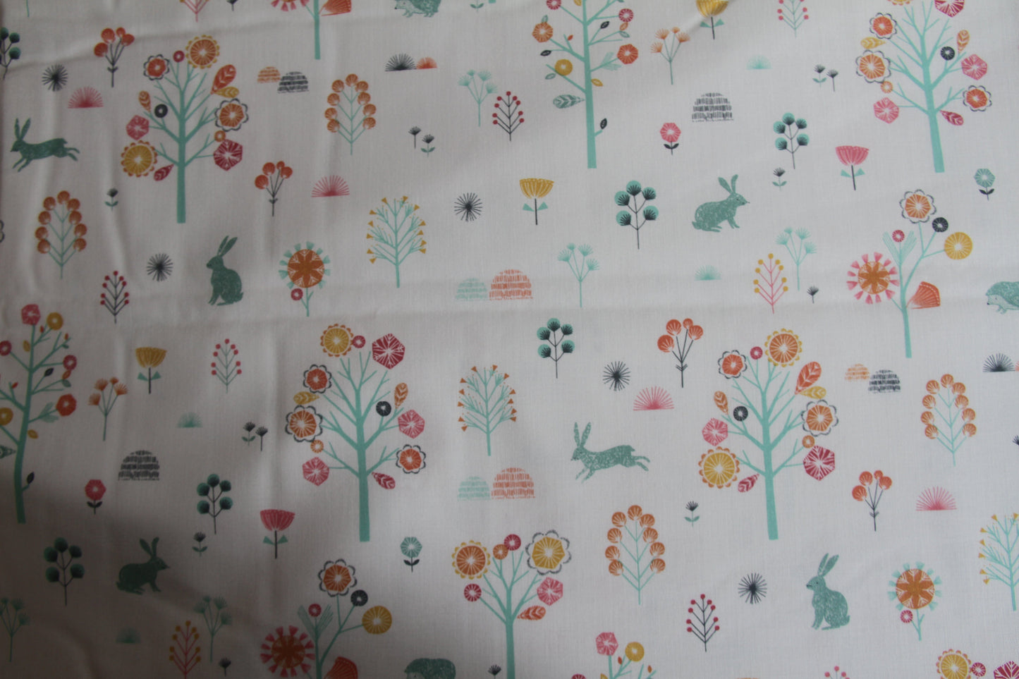 Springtime Trail  -  Cream