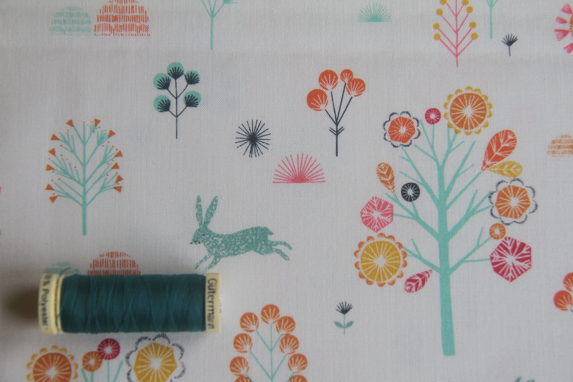 Springtime Trail  -  Cream