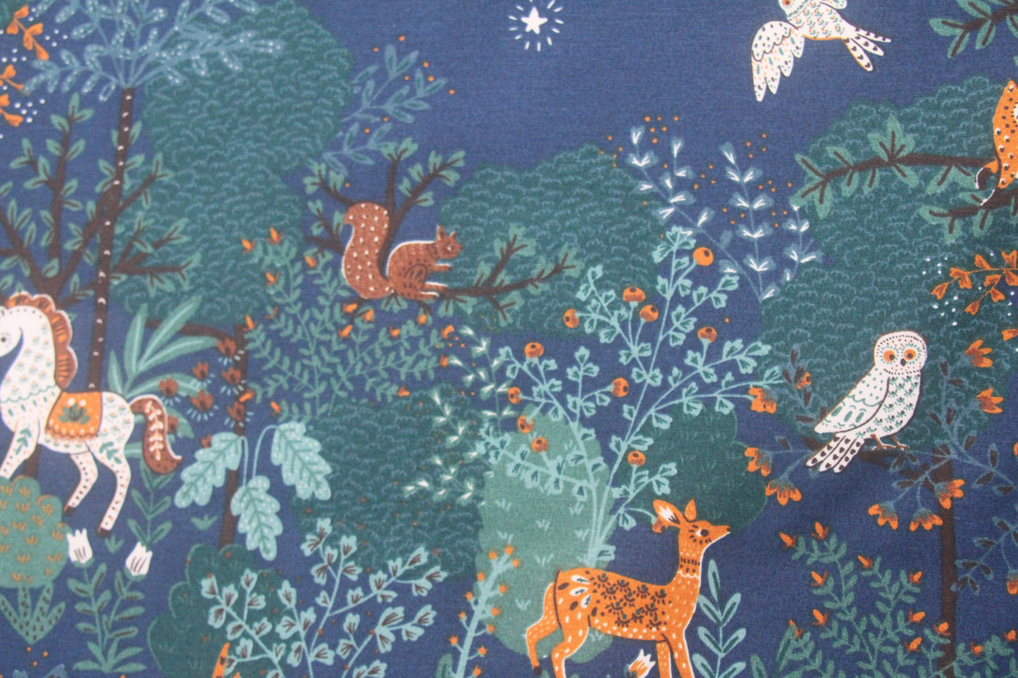 Nighttime woodland  -