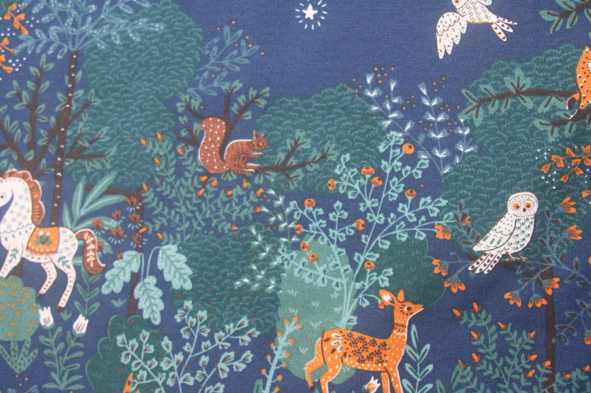 Nighttime woodland  -