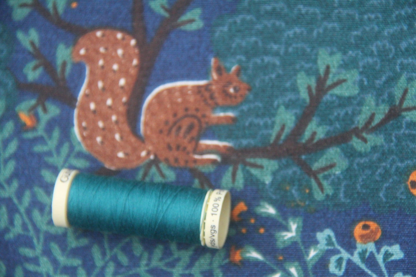 Nighttime woodland  -