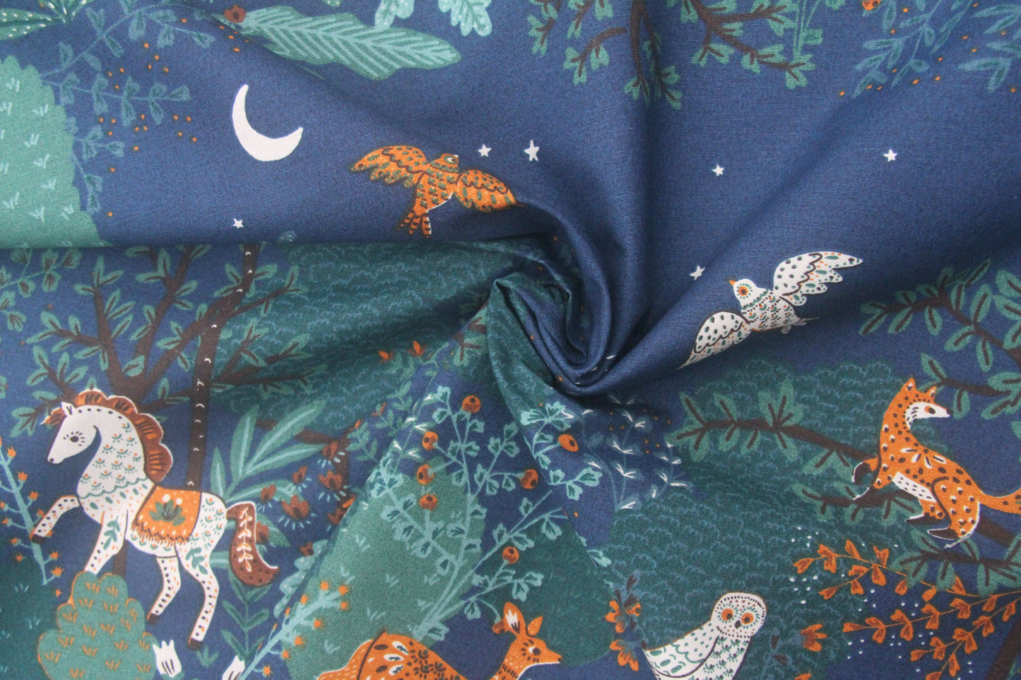 Nighttime woodland  -