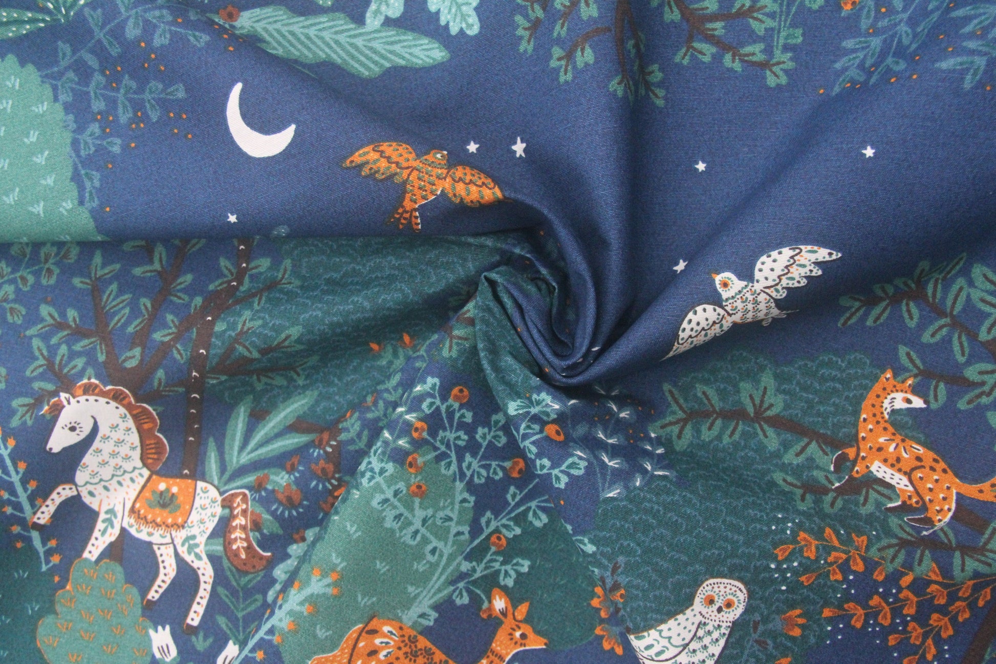 Nighttime woodland  -