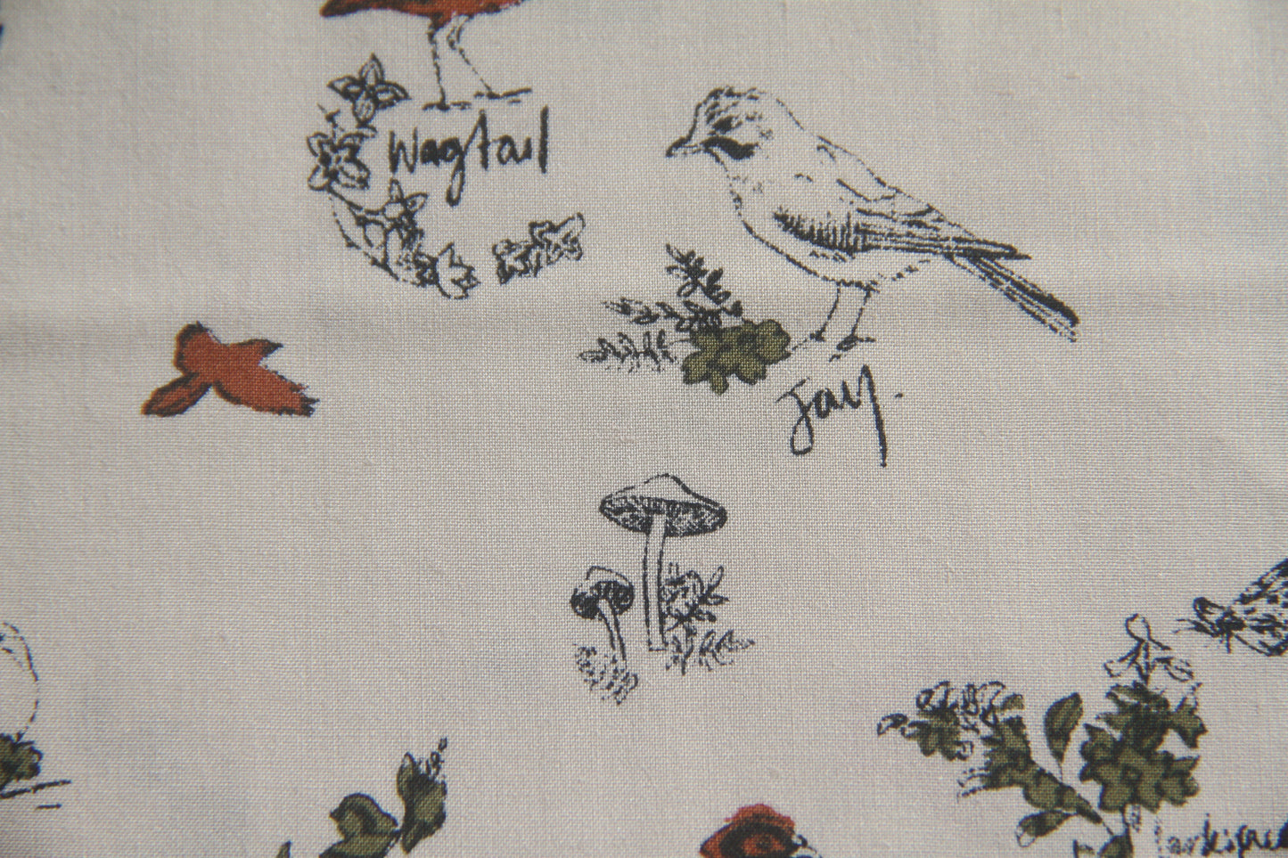 Country Life  -  Cream