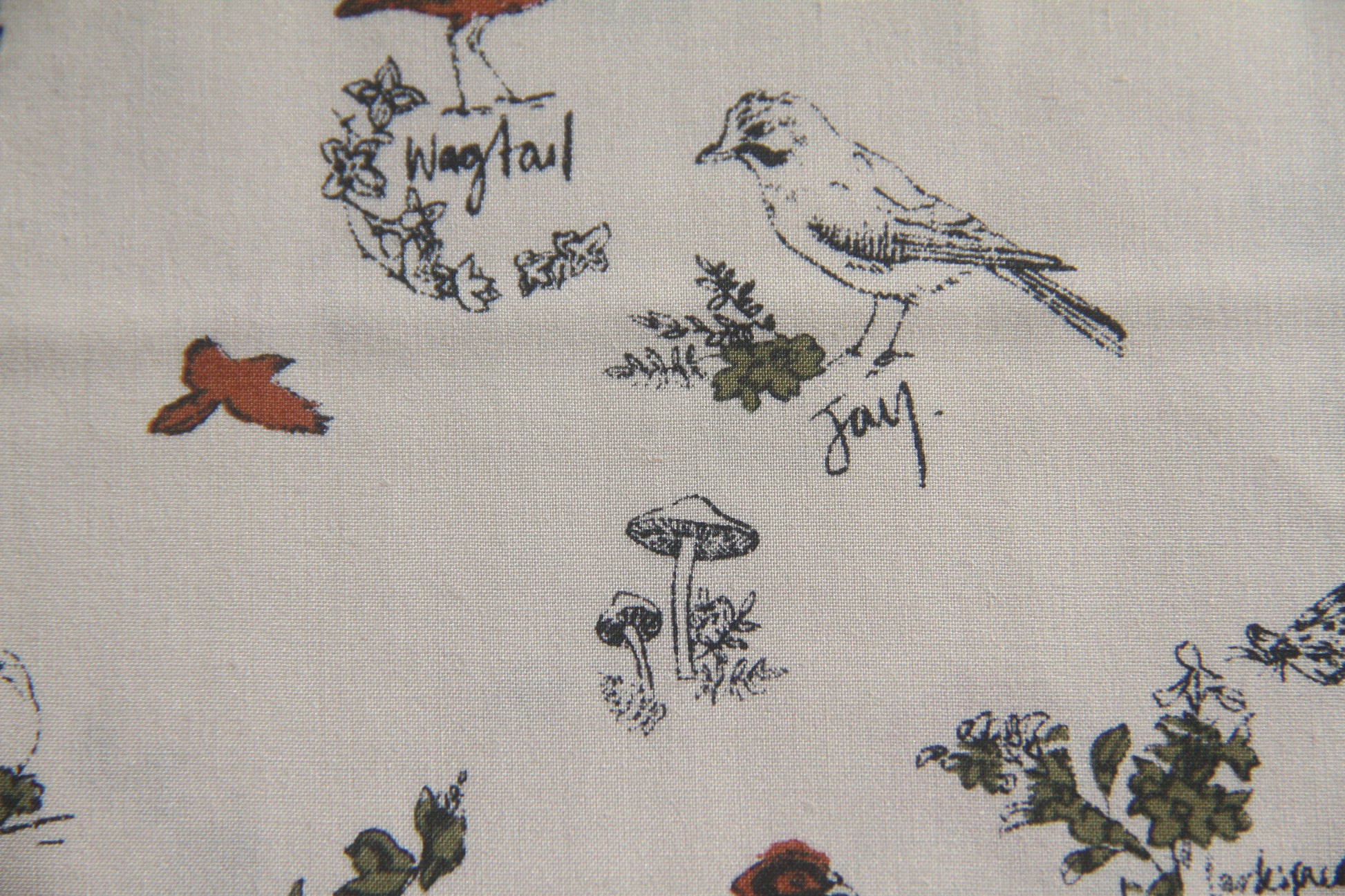 Country Life  -  Cream