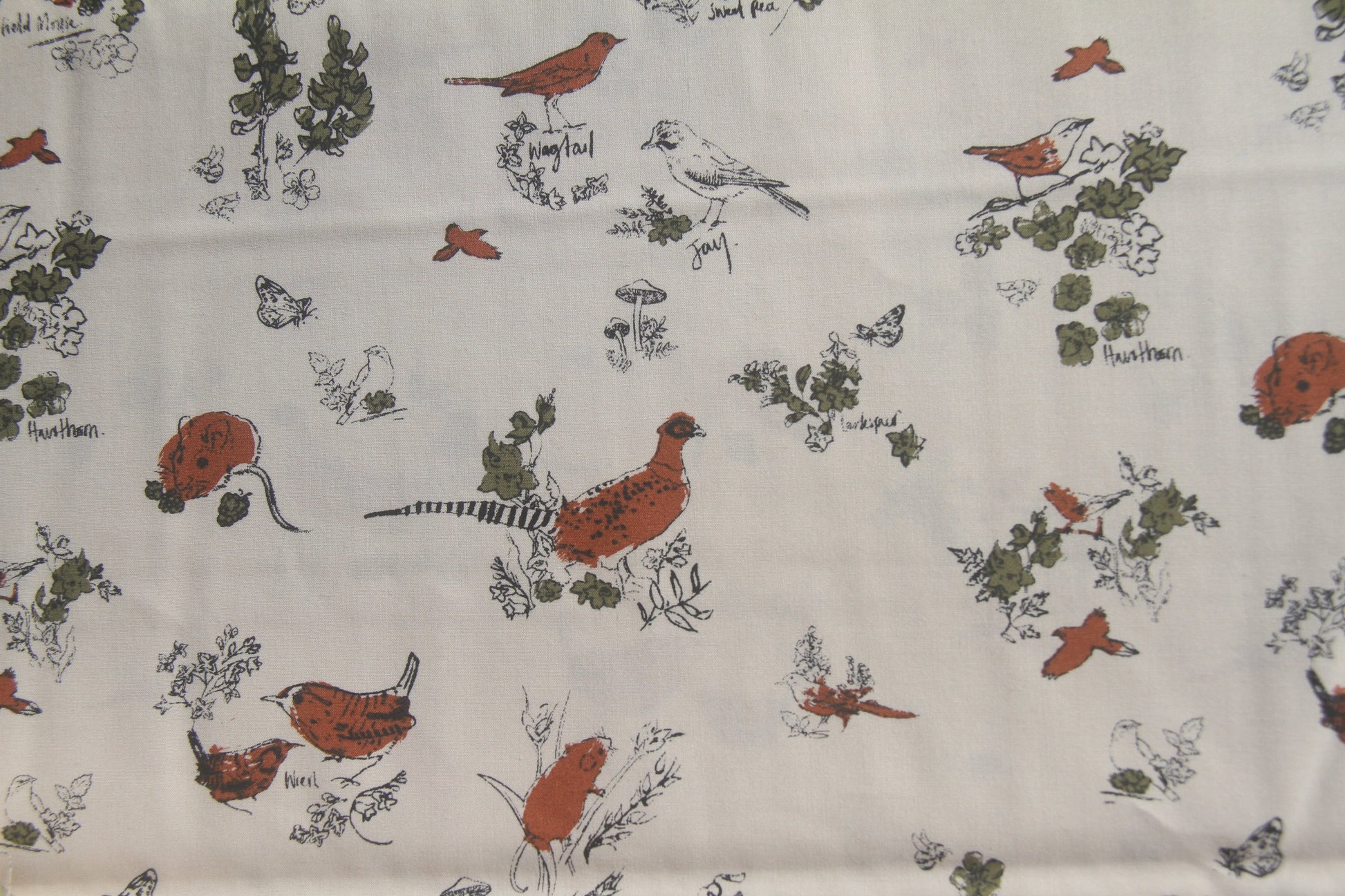 Country Life  -  Cream