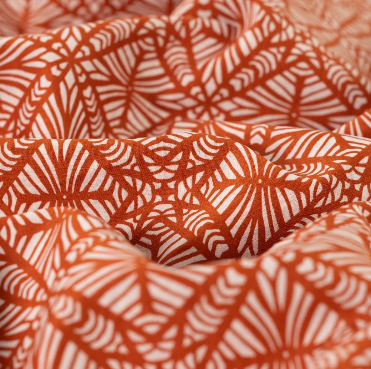Zanzibar  -  Cognac