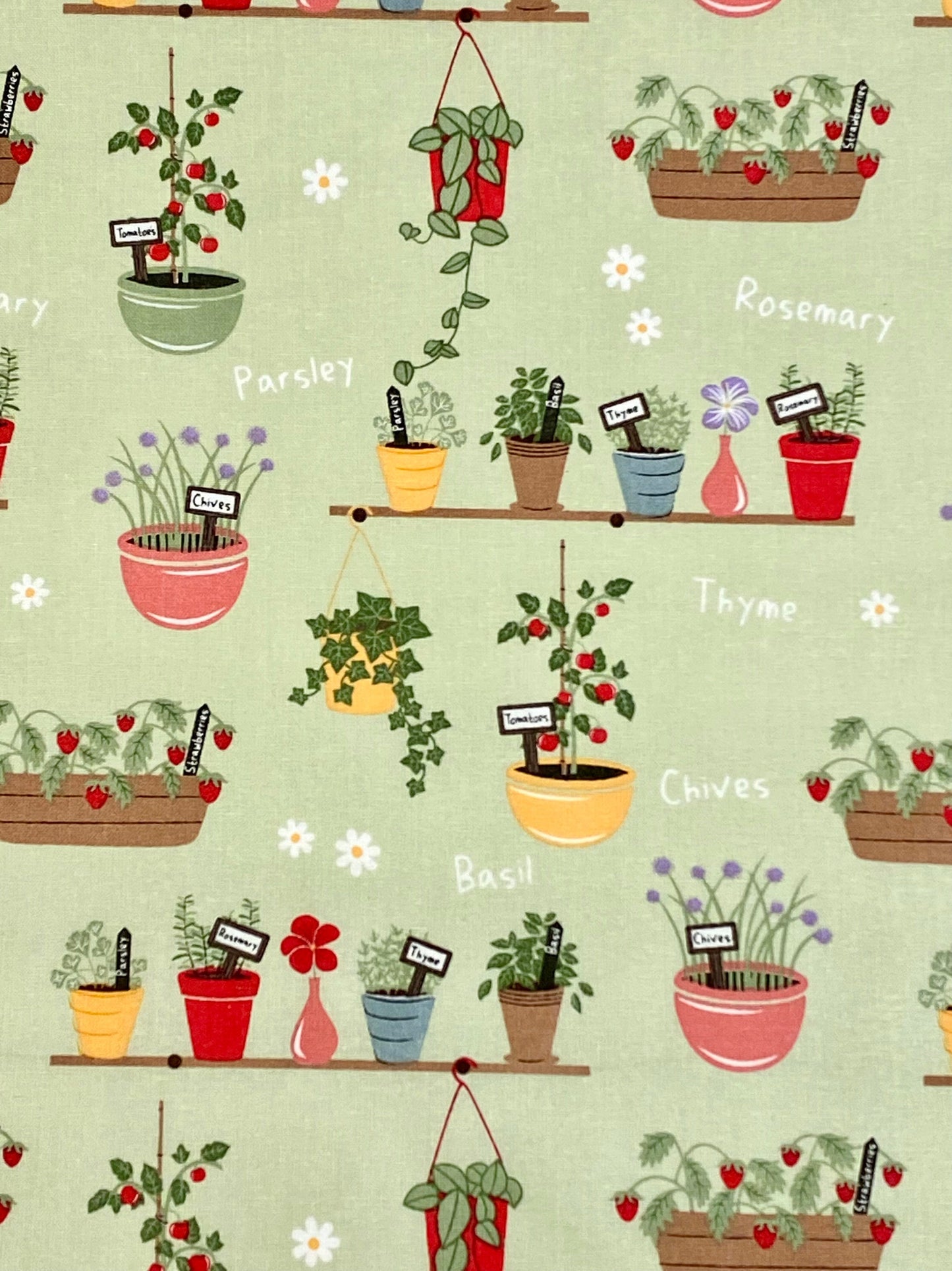 In The Garden Plant Pots  - 