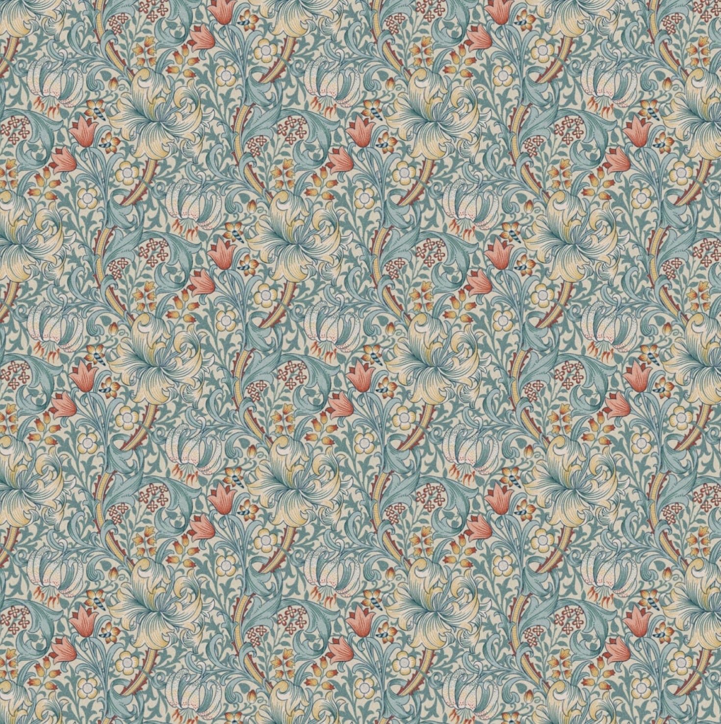 Golden Lily  -  Tourmaline