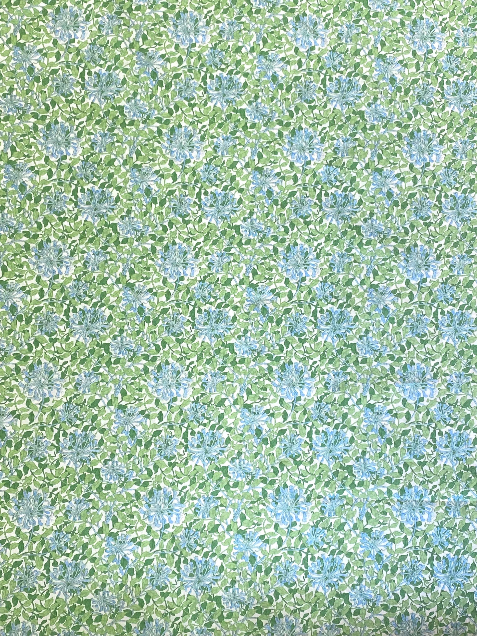 Honeysuckle Pima Cotton Lawn  -  Green