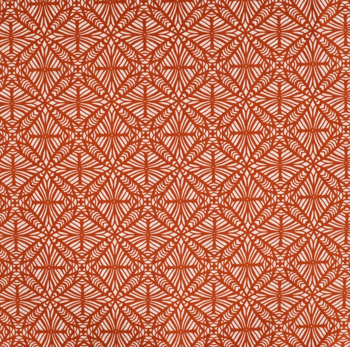 Zanzibar  -  Cognac