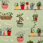 In The Garden Plant Pots  - 
