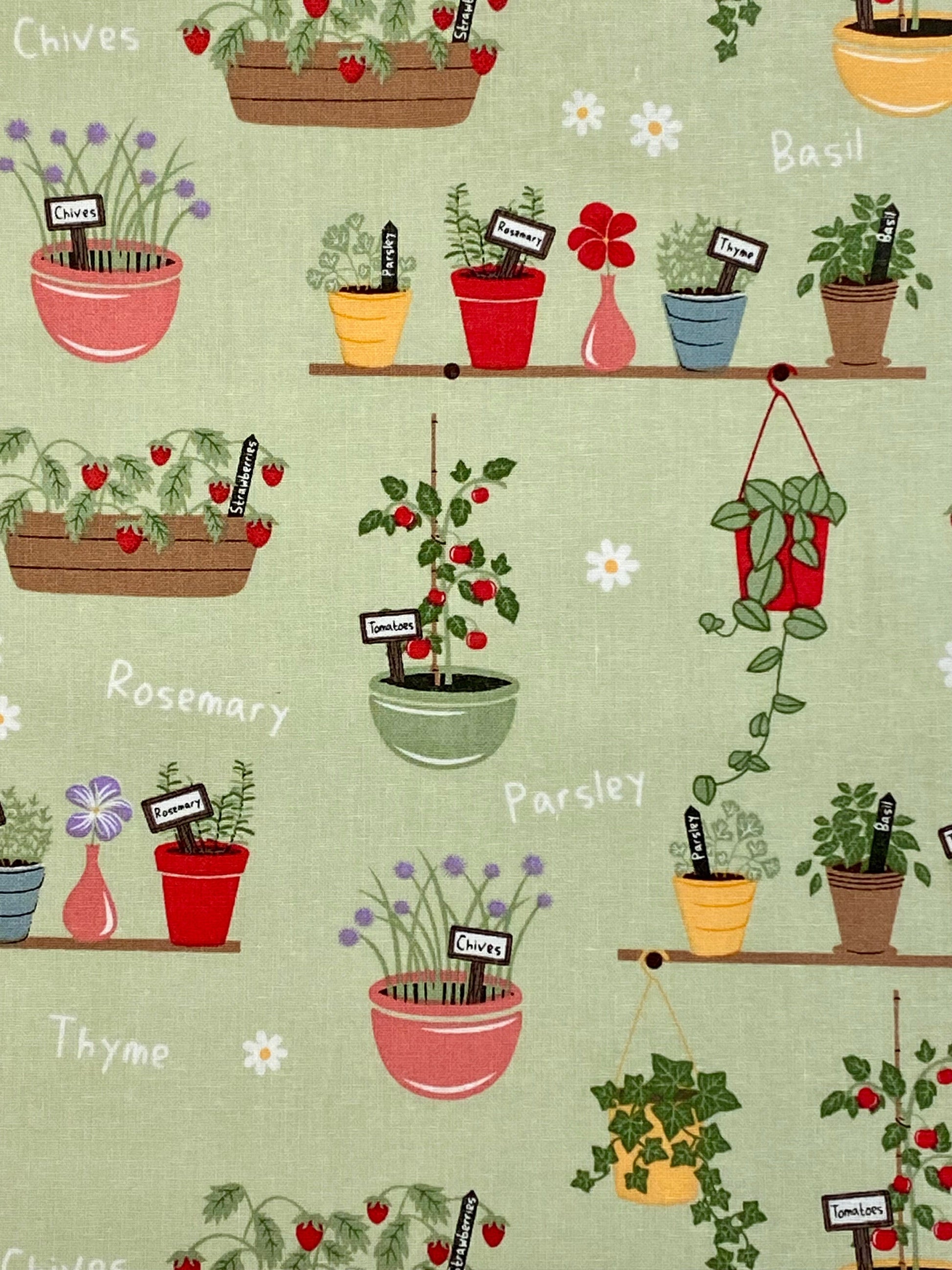 In The Garden Plant Pots  - 