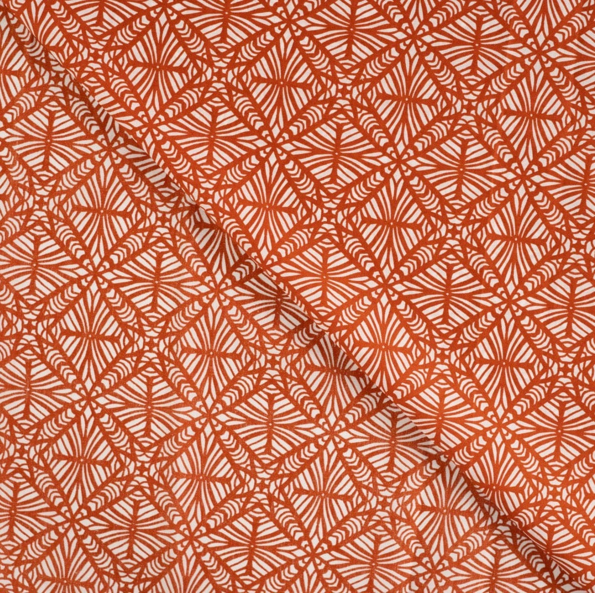 Zanzibar  -  Cognac