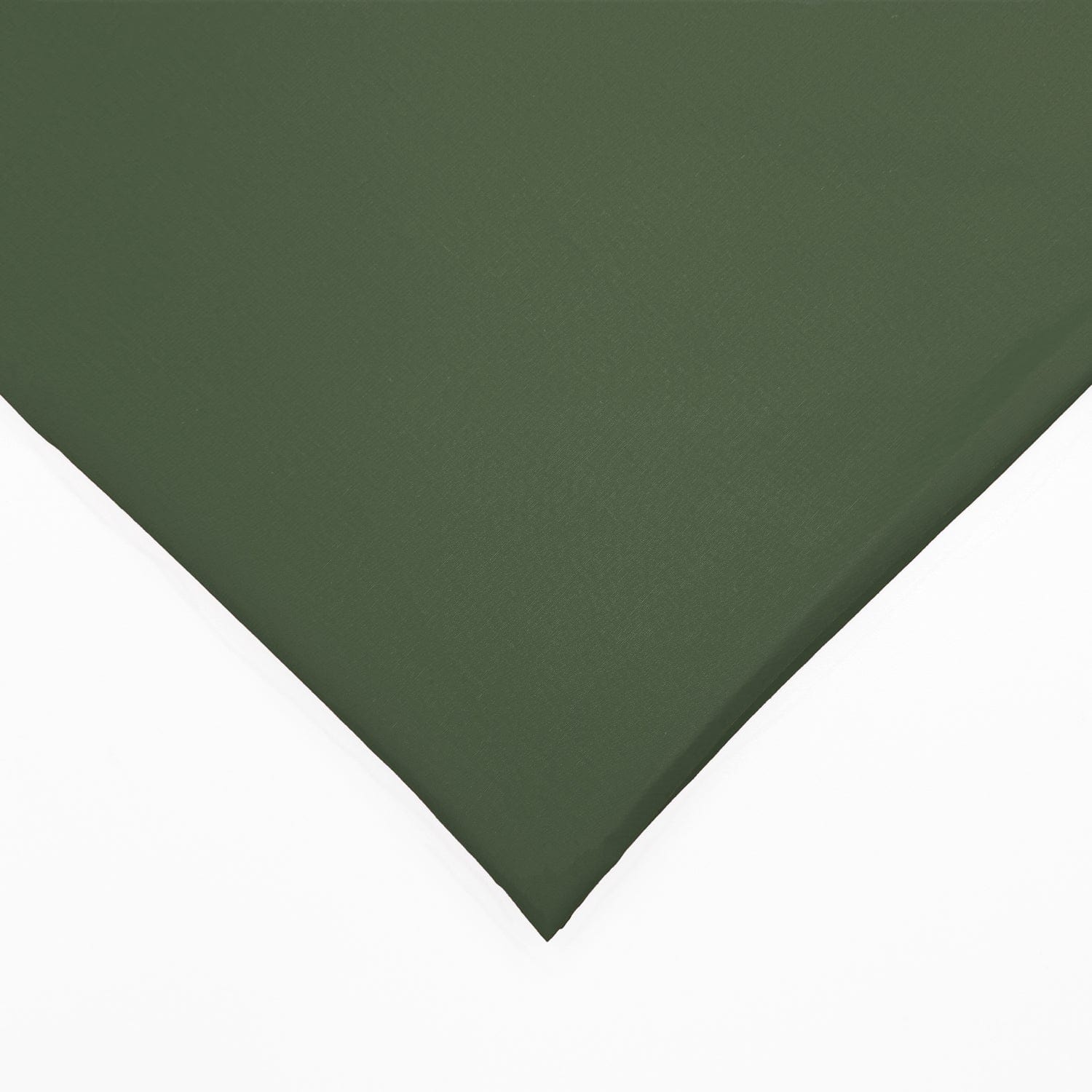 Cotton Percale  - 