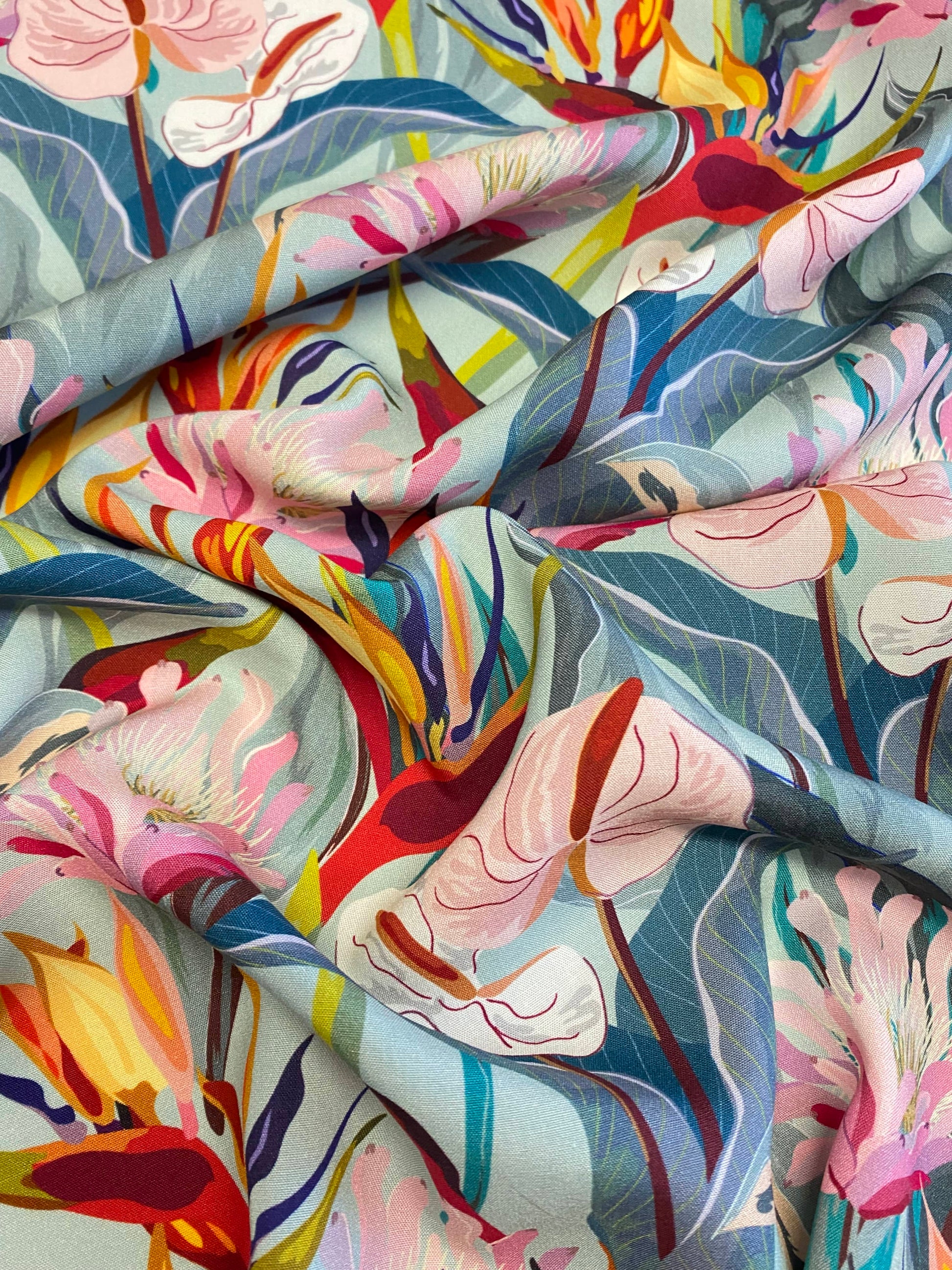 Bird of Paradise  -  Pistachio