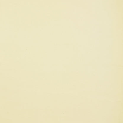 Washed Canvas Cotton  - 