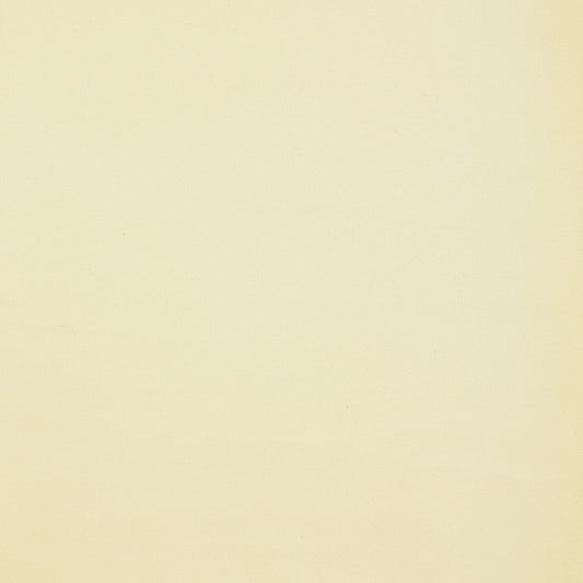 Washed Canvas Cotton  - 