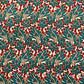 Aspen Pima Cotton Lawn