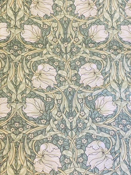 Pimpernel  -  Eau de nil