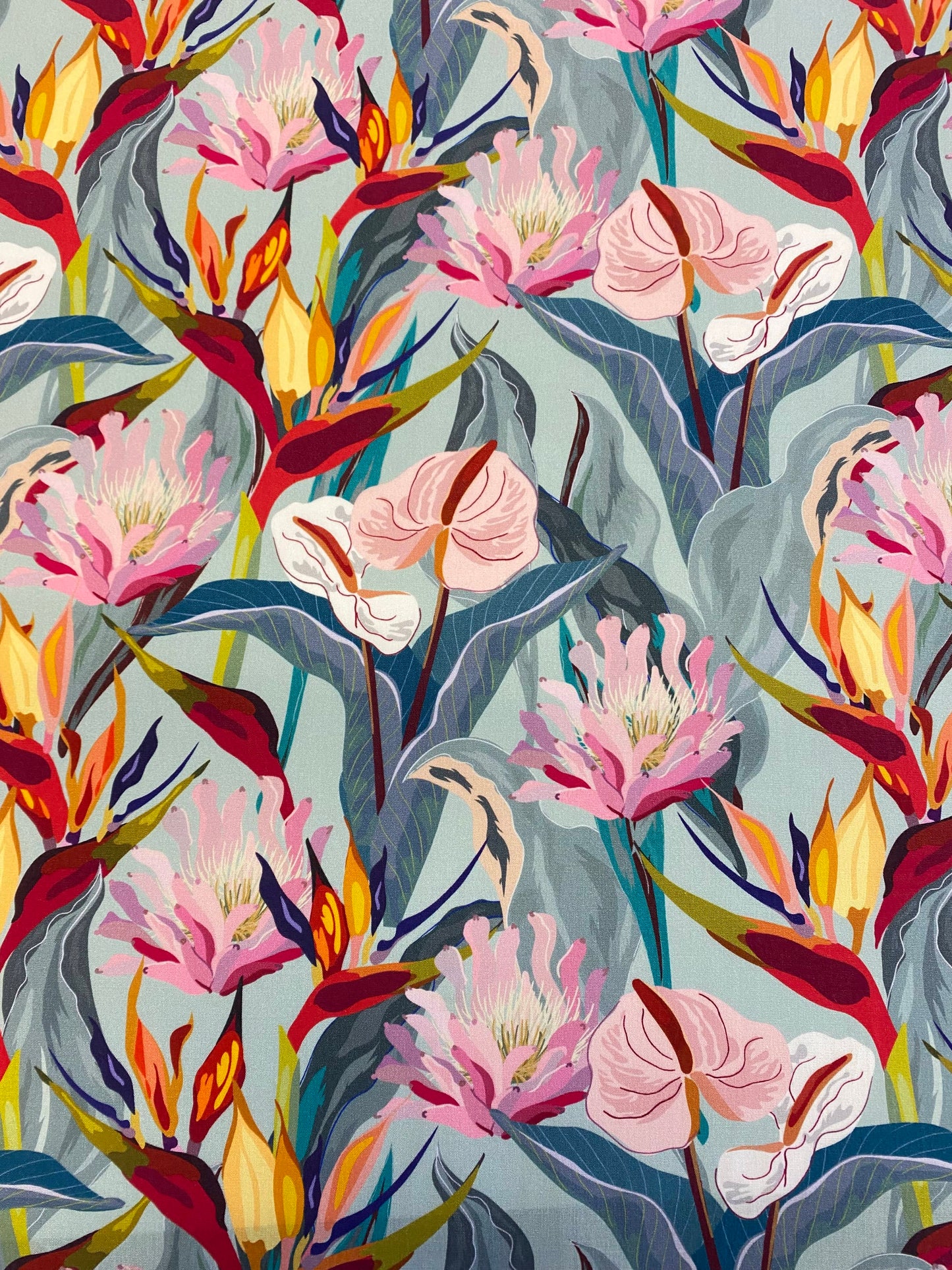 Bird of Paradise  -  Pistachio