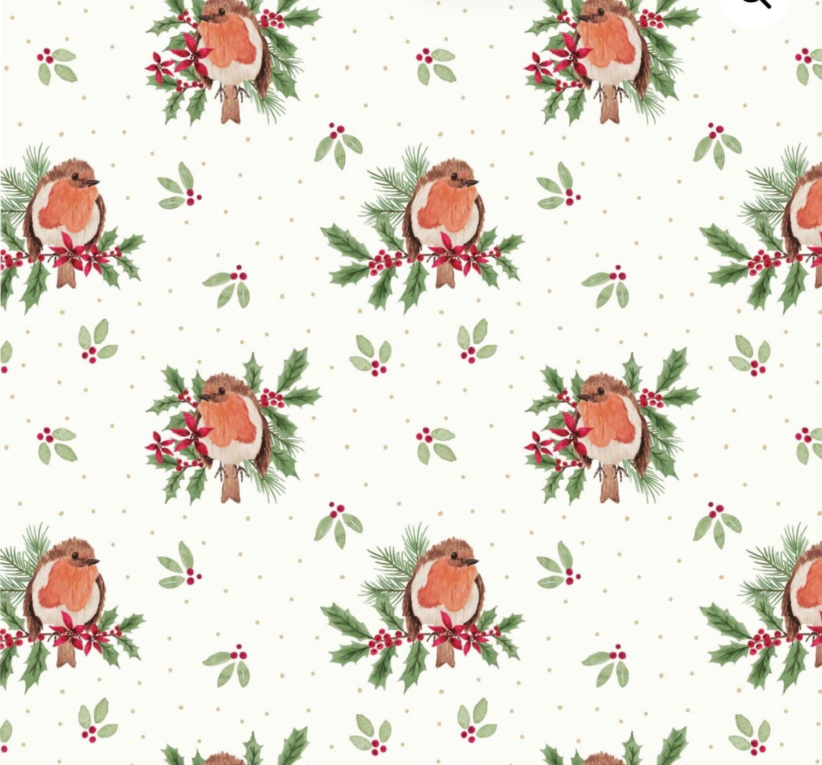 Robin Redbreast  - 