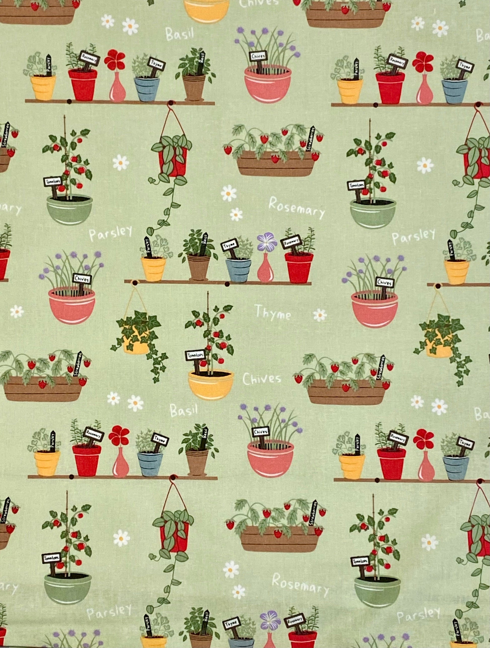 In The Garden Plant Pots  - 