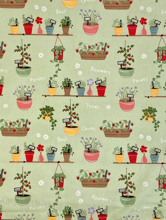 In The Garden Plant Pots  - 