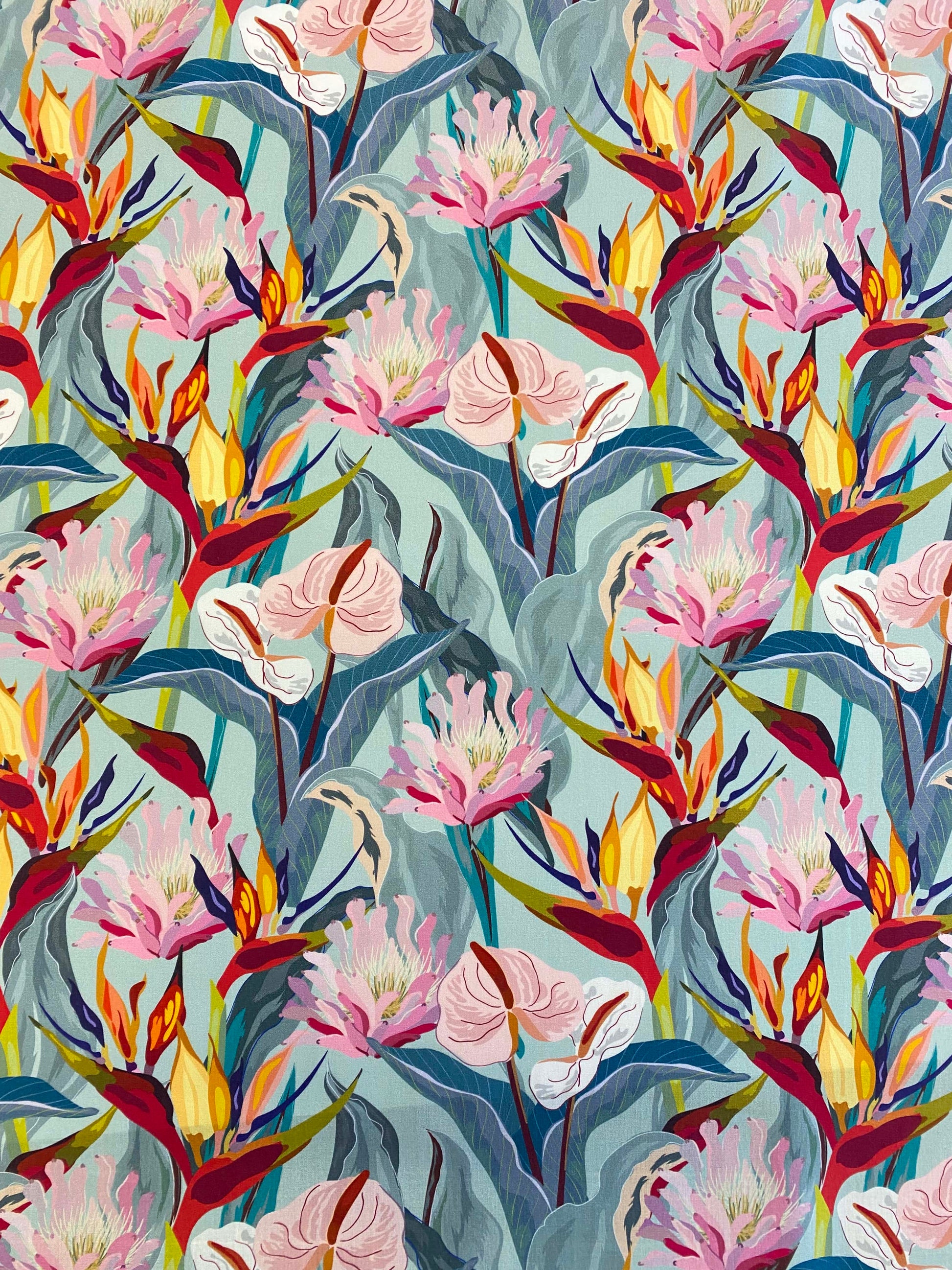 Bird of Paradise  -  Pistachio