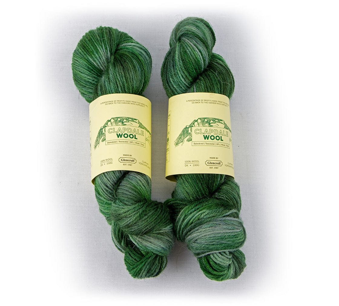 Clapdale Wool Hand Dyed 100g DK hank  -  Green